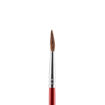Picture of JUNIOR PAINTBRUSH ROUND